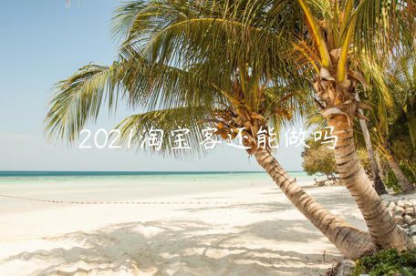 2021淘寶客還能做嗎